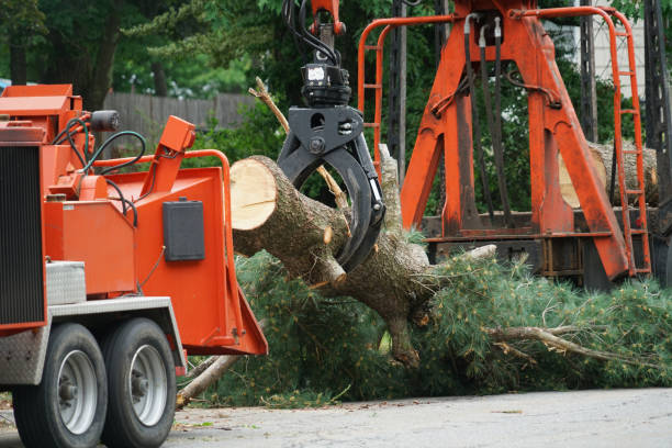Mulching Services in El Reno, OK