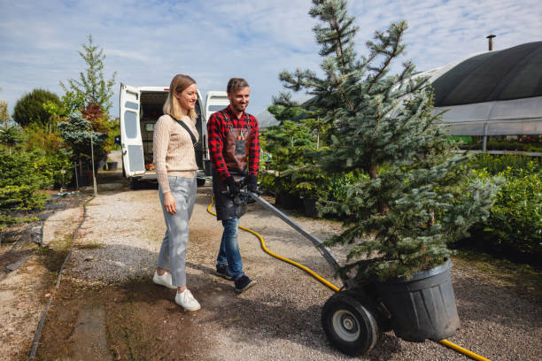 Best Lawn Maintenance Plans  in El Reno, OK